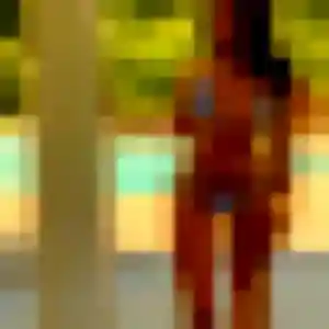 Solange (34 ans) à Acigné propose une rencontre rapidement