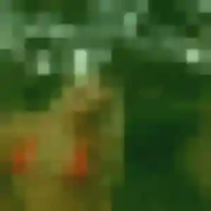 Profil de Cindy à Agen (32 ans) - plan cul discret