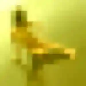 Photo privée de Muriel, 39 ans à Alfortville - rencontre sans lendemain