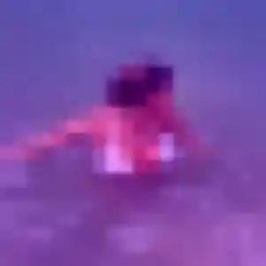 Photo exclusive de Alice, 37 ans à Ambarès-et-Lagrave - rencontre sans lendemain