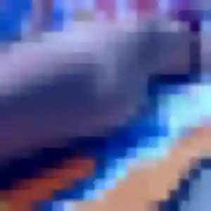 Découvre Samira, 41 ans à Audruicq gratuitement