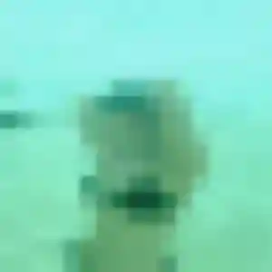 Contacte Maya, 32 ans à Auterive gratuitement