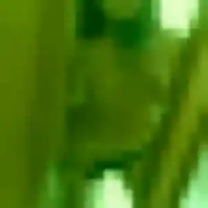 Photo de Estee à Bailleul (44 ans) - plan cul gratuit