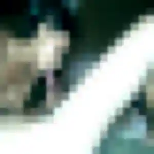 Photo de Phoebe à Baugé-en-Anjou (32 ans) - plan cul discret