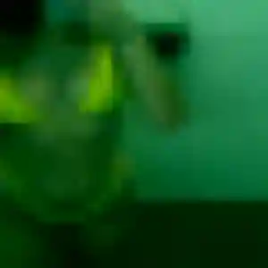 Rebecca (43 ans) à Bédarieux attend une rencontre rapidement