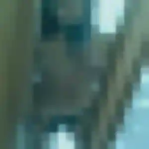 Rencontre Sophie, 22 ans à Blainville-sur-Orne gratuitement