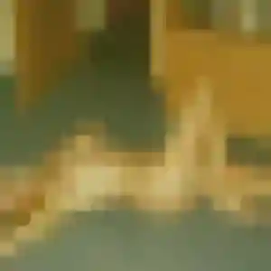 Thais de Blainville-sur-Orne, 42 ans - plan cul sans lendemain