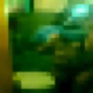 Anne-Laure (29 ans) à Bobigny cherche une rencontre maintenant
