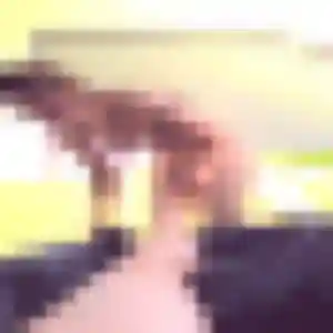 Brune, fille de 26 ans cherche plan cul à Charleville-Mézières