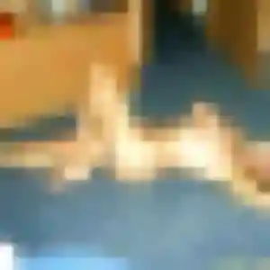 Doriane, 29 ans, disponible à Chasse-sur-Rhône pour un plan cul