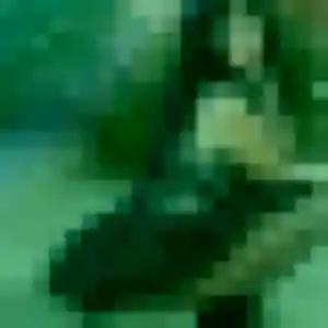 Photo exclusive de Rachida, 39 ans à Chatou - rencontre sans lendemain