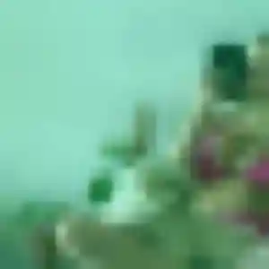 Lea (25 ans) à Chirongui attend une rencontre aujourd'hui