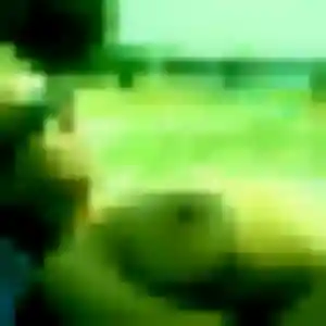 Anastasia (43 ans) à Cognin attend une rencontre rapidement