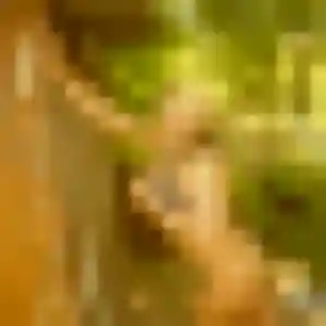 Mylene, 38 ans, dispo pour plan cul à Courdimanche