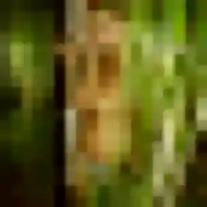 Sexy Yolande, 23 ans à Déville-lès-Rouen - voir sa photo