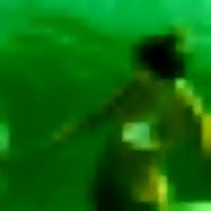 Bianca, 23 ans, dispo pour plan cul à Digne-les-Bains