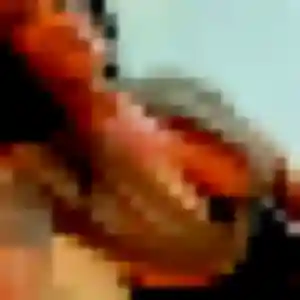 Photo de Lise à Drap (42 ans) - plan cul gratuit