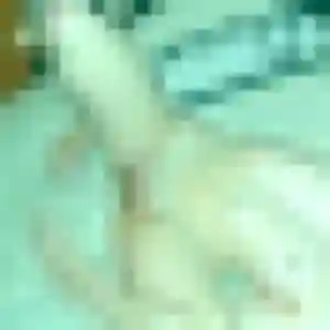 Berenice, 33 ans, dispo pour plan cul à Ensisheim
