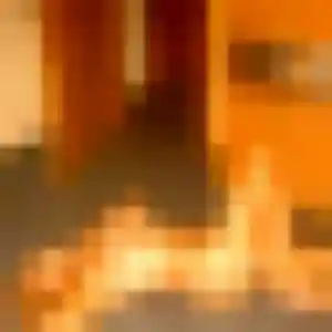 Charline, 24 ans, en ligne à Erquinghem-Lys pour une rencontre coquine