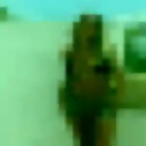 Jolie Marie-Pierre, 44 ans à Foulayronnes - découvrir son profil