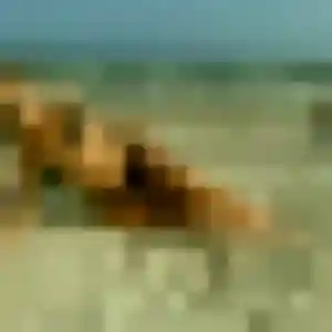 Photo de Morgane à Gouesnou (43 ans) - plan cul gratuit