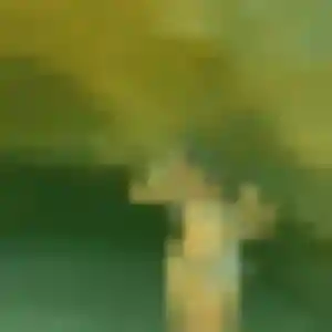 Soraya, fille de 40 ans cherche plan cul à Haubourdin