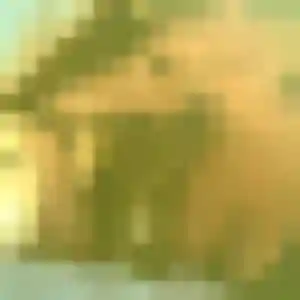 Anne, 40 ans, disponible à Izon pour une rencontre coquine