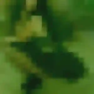 Belle Faustine, 38 ans à Jassans-Riottier - voir sa photo