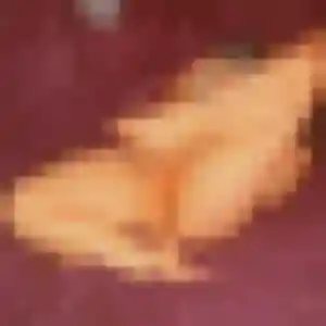 Sexy Anais, 24 ans à La Ricamarie - la contacter