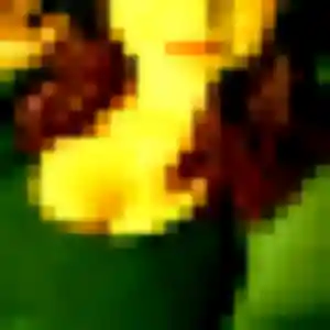 Photo privée de Elise, 41 ans à Lannilis - plan discret