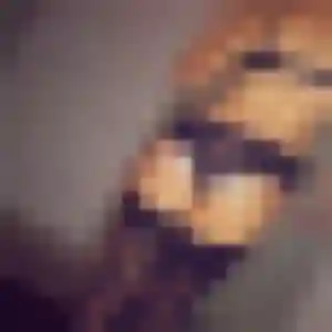 plan cul à Laudun-l'Ardoise : photo de Iseult, 35 ans - accès libre