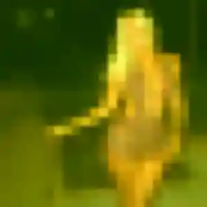 Contacte Fanny, 35 ans à Le Portel en t'inscrivant