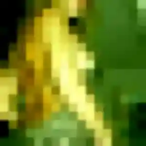 Photo de Jacqueline à Malemort (26 ans) - plan cul gratuit