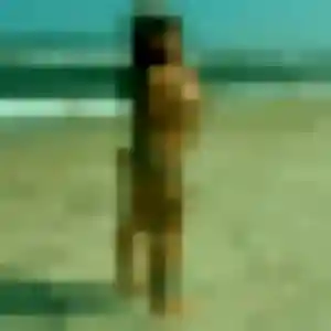 Colombe, femme de 25 ans veut plan cul à Marly-la-Ville
