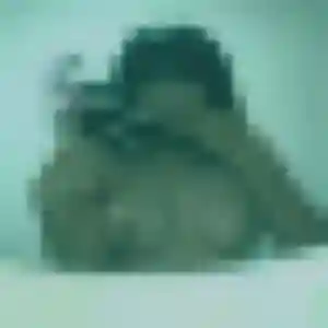 Fanny (43 ans) à Marseillan cherche un plan cul maintenant