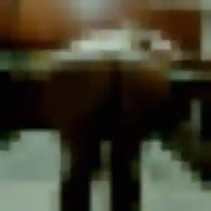 Elise, femme de 21 ans propose plan cul à Mazingarbe