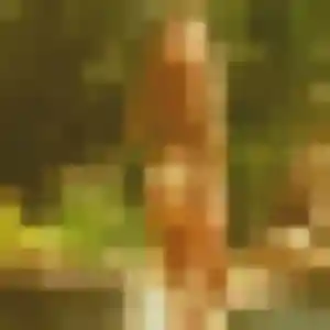 Photo privée de Celeste, 41 ans à Meximieux - plan discret