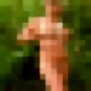 Photo sexy de Lily, 45 ans à Mont-Saint-Aignan - rencontre coquine