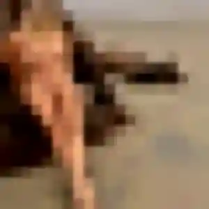 Deborah de Montargis, 29 ans - plan cul sans prise de tête
