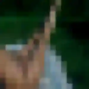 Jolie Marie-Pierre, 33 ans à Montigny-lès-Metz - voir sa photo