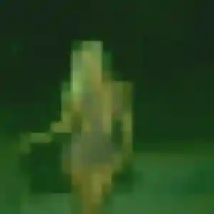 Nadine (29 ans) à Noisiel cherche un plan cul maintenant
