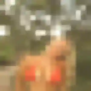 Marie-Christine (31 ans) à Oloron-Sainte-Marie cherche une rencontre aujourd'hui