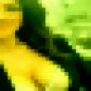 Joana, 28 ans, disponible à Onnaing pour une rencontre coquine