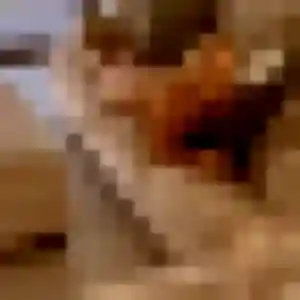 Perrine (22 ans) à Peymeinade cherche une rencontre ce soir