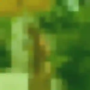 Blandine (45 ans) à Peyrolles-en-Provence attend une rencontre rapidement