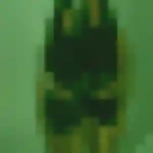Photo de Alix à Plaisance-du-Touch (45 ans) - plan cul gratuit