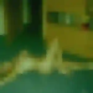 Photo de Berenice à Quint-Fonsegrives (32 ans) - plan cul discret