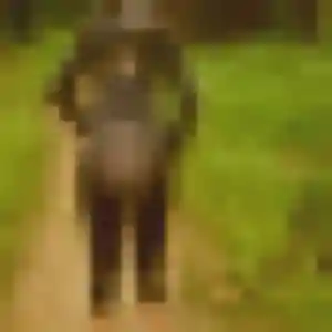 Contacte Graziella, 22 ans à Rambouillet en privé