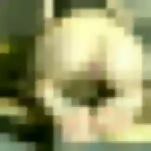 Photo sexy de Jade, 28 ans à Saint-Avertin - plan discret