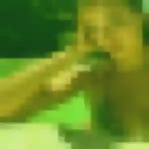 Oumaima, 29 ans, connectée à Saint-Hilaire-de-Riez pour une rencontre coquine